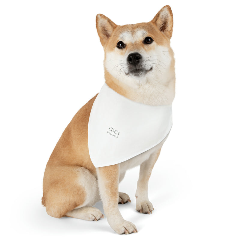 Pet Bandana Collar